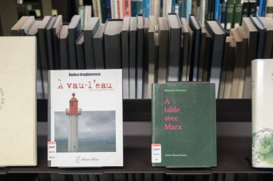 Sélection bibliographique La littérature roumaine, post-1989, dans le cadre du Festival VO-VF 2019