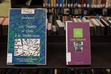 Sélection bibliographique en lien avec l'exposition Gelem, gelem, voyage en langue rromani