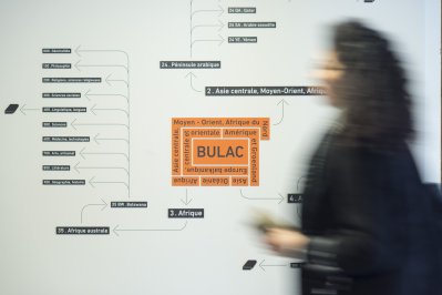 Lectrice devant le schéma de la classification de la BULAC