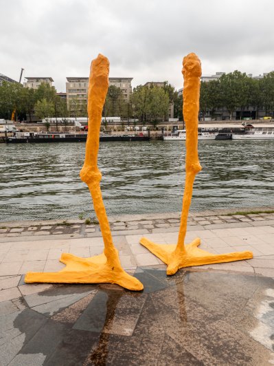 Pattes de goéland sur les rives de la Seine