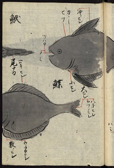 Manuscrit japonais